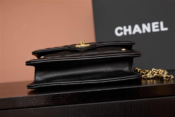 2026131222332934 650